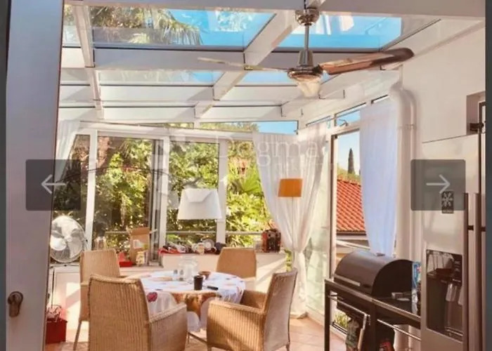 Belli * Опатія